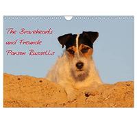 Calendrier 2027 · US Version · Les Bravehearts et leurs amis | Les Parson Russell · Nos terriers Parson Russell, toujours joyeux, et leurs… · DIN A4 paysage · CALVENDO Calendrier mural