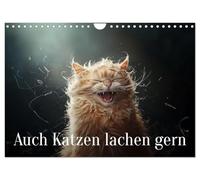 Calendrier 2027 · US Version · Les chats aussi aiment rire | Quand les chats rient, il n'y a pas un œil sec dans la maison · DIN A4 paysage · CALVENDO Calendrier mural
