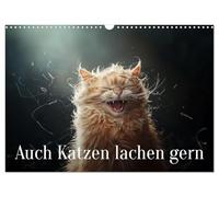 Calendrier 2027 · US Version · Les chats aussi aiment rire | Quand les chats rient, il n'y a pas un œil sec dans la maison · DIN A3 paysage · CALVENDO Calendrier mural