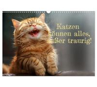 Calendrier 2027 · US Version · Les chats peuvent tout faire, sauf être | tristes · Les chats sont nos amis, quoi qu'il arrive · DIN A3 paysage · CALVENDO Calendrier mural