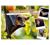 Calendrier 2027 · US Version · Les chauves-souris : de petits vampires | Des acteurs essentiels de l'écosystème · DIN A3 paysage · CALVENDO Calendrier mural