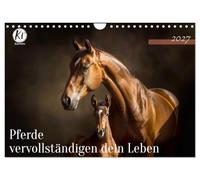 Calendrier 2027 · US Version · Les chevaux enrichissent votre vie | Des mots pleins d'esprit, des images envoûtantes pour les passionnés de chevaux… · DIN A4 paysage · CALVENDO Calendrier mural