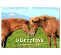 Calendrier 2027 · US Version · Les chevaux islandais : les stars animales | de l'île · De superbes photos de chevaux islandais dans leur milieu naturel · DIN A4 paysage · CALVENDO Calendrier mural