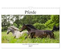 Calendrier 2027 · US Version · Les chevaux, le plus grand bonheur sur cette | terre · Ce n'est pas sans raison qu'on dit que les chevaux rendent heureux · DIN A4 paysage · CALVENDO Calendrier mural