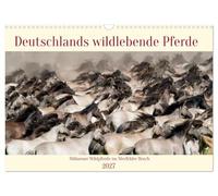 Calendrier 2027 · US Version · Les chevaux sauvages d'Allemagne | Le dernier troupeau de chevaux vivant en liberté en Europe · DIN A3 paysage · CALVENDO Calendrier mural