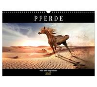 Calendrier 2027 · US Version · Les chevaux - sauvages et indomptés | Des images oniriques de races de chevaux vivant en liberté dans des paysages… · DIN A3 paysage · CALVENDO Calendrier mural