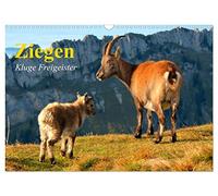 Calendrier 2027 · US Version · Les chèvres. Des esprits libres et astucieux | Les chèvres sont les esprits libres parmi les animaux vivant en troupeau · DIN A3 paysage · CALVENDO Calendrier mural