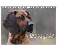 Calendrier 2027 · US Version · Les chiens de chasse : de fidèles compagnons | de chasse · Portraits de chiens de chasse · DIN A4 paysage · CALVENDO Calendrier mural