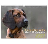 Calendrier 2027 · US Version · Les chiens de chasse : de fidèles compagnons | de chasse · Portraits de chiens de chasse · DIN A3 paysage · CALVENDO Calendrier mural