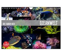 Calendrier 2027 · US Version · Les couleurs du monde marin | Le magnifique monde sous-marin de nos mers · DIN A4 paysage · CALVENDO Calendrier mural