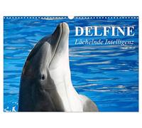 Calendrier 2027 · US Version · Les dauphins : une intelligence souriante | Les mammifères intelligents dotés d'une conscience de soi · DIN A3 paysage · CALVENDO Calendrier mural