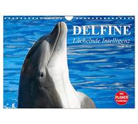 Calendrier 2027 · US Version · Les dauphins : une intelligence souriante | Les mammifères intelligents dotés d'une conscience de soi · DIN A4 paysage · CALVENDO Calendrier mural