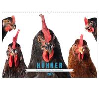 Calendrier 2027 · US Version · Les drôles de poulets de Mosenhof | Les poulets apportent de la couleur à la vie · DIN A3 paysage · CALVENDO Calendrier mural