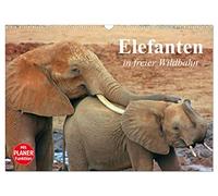 Calendrier 2027 · US Version · Les éléphants à l'état sauvage | De puissants pachydermes dans leur milieu naturel · DIN A3 paysage · CALVENDO Calendrier mural