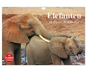 Calendrier 2027 · US Version · Les éléphants à l'état sauvage | De puissants pachydermes dans leur milieu naturel · DIN A4 paysage · CALVENDO Calendrier mural
