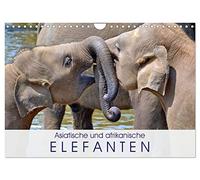 Calendrier 2027 · US Version · Les éléphants d'Asie et d'Afrique | Les mammifères terrestres les plus grands et les plus lourds de la planète · DIN A4 paysage · CALVENDO Calendrier mural