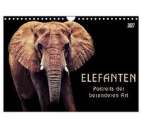 Calendrier 2027 · US Version · Les éléphants : des portraits d'un genre | particulier · De magnifiques portraits des géants gris · réalisés en peinture… · DIN A4 paysage · CALVENDO Calendrier mural