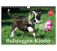 Calendrier 2027 · US Version · Les enfants des Bulldogs | De petits bourreaux des cœurs, mais pas des moindres · DIN A4 paysage · CALVENDO Calendrier mural