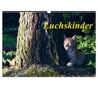 Calendrier 2027 · US Version · Les enfants Lynx | Douze portraits fascinants de petits lynx · DIN A3 paysage · CALVENDO Calendrier mural