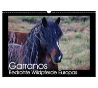 Calendrier 2027 · US Version · Les Garranos : des chevaux sauvages d'Europe | menacés d'extinction · Calendrier du projet de conservation de cette race rare… · DIN A3 paysage · CALVENDO Calendrier mural