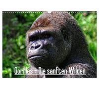 Calendrier 2027 · US Version · Les gorilles : les « sauvages » au cœur | tendre · Aucun autre animal ne nous ressemble autant que le gorille · DIN A3 paysage · CALVENDO Calendrier mural