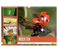 Calendrier 2027 · US Version · Les insectes. Des créatures fascinantes et | essentielles · Admirez de près les merveilles fantaisistes de la nature · DIN A3 paysage · CALVENDO Calendrier mural