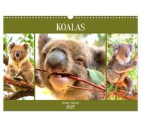 Calendrier 2027 · US Version · Les koalas. Attention, c'est trop mignon | Les animaux les plus mignons de la côte est de l'Australie · DIN A3 paysage · CALVENDO Calendrier mural