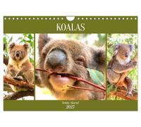 Calendrier 2027 · US Version · Les koalas. Attention, c'est trop mignon | Les animaux les plus mignons de la côte est de l'Australie · DIN A4 paysage · CALVENDO Calendrier mural