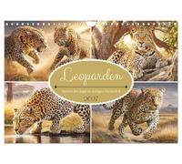 Calendrier 2027 · US Version · Les léopards. Les maîtres de la chasse, avec | leur fourrure tachetée et soyeuse · La puissance gracieuse et la férocité… · DIN A4 paysage · CALVENDO Calendrier mural