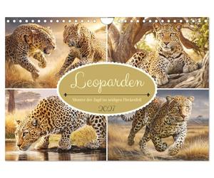 Calendrier 2027 · US Version · Les léopards. Les maîtres de la chasse, avec | leur fourrure tachetée et soyeuse · La puissance gracieuse et la férocité… · DIN A4 paysage · CALVENDO Calendrier mural