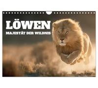 Calendrier 2027 · US Version · Les lions : la majesté de la nature sauvage | Les lions des contrées sauvages d'Afrique incarnent la majesté et l'élégance · DIN A4 paysage · CALVENDO Calendrier mural