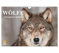 Calendrier 2027 · US Version · Les loups. Une grâce audacieuse | Cette créature fascinante, à mi-chemin entre la réalité et l'univers des contes… · DIN A4 paysage · CALVENDO Calendrier mural