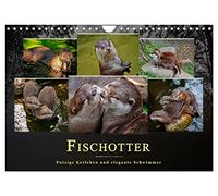 Calendrier 2027 · US Version · Les loutres : de mignons petits animaux et | d'élégants nageurs · Même si la loutre est un prédateur terrestre, on a juste… · DIN A4 paysage · CALVENDO Calendrier mural