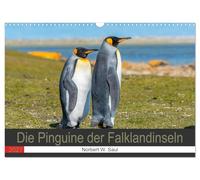 Calendrier 2027 · US Version · Les manchots des îles Malouines | Admirez ces magnifiques oiseaux si confiants · DIN A3 paysage · CALVENDO Calendrier mural