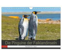 Calendrier 2027 · US Version · Les manchots des îles Malouines | Admirez ces magnifiques oiseaux si confiants · DIN A4 paysage · CALVENDO Calendrier mural