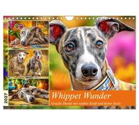 Calendrier 2027 · US Version · Les merveilles du whippet | Des chiens gracieux, dotés d’une force douce et d’une belle âme · Des lévriers… · DIN A4 paysage · CALVENDO Calendrier mural
