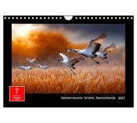 Calendrier 2027 · US Version · Les mystérieuses contrées sauvages de | l'Allemagne · Découvrez la merveilleuse diversité de la nature allemande · DIN A4 paysage · CALVENDO Calendrier mural