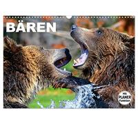 Calendrier 2027 · US Version · Les Ours | De grands ours en peluche qui font craquer et qu'on ne peut s'empêcher d'admirer · DIN A3 paysage · CALVENDO Calendrier mural
