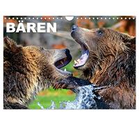 Calendrier 2027 · US Version · Les ours | De grands ours en peluche qui font craquer et qu'on ne peut s'empêcher d'admirer · DIN A4 paysage · CALVENDO Calendrier mural