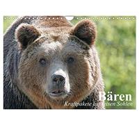 Calendrier 2027 · US Version · Les ours. Des géants aux pas silencieux | Un solitaire grognon au pelage soyeux · DIN A4 paysage · CALVENDO Calendrier mural