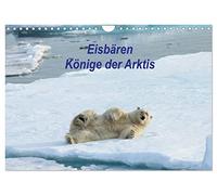 Calendrier 2027 · US Version · Les ours polaires : les rois de l'Arctique | Un aperçu de la vie quotidienne et des stratégies de survie des ours polaires… · DIN A4 paysage · CALVENDO Calendrier mural