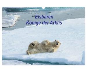 Calendrier 2027 · US Version · Les ours polaires : les rois de l'Arctique | Un aperçu de la vie quotidienne et des stratégies de survie des ours polaires… · DIN A3 paysage · CALVENDO Calendrier mural
