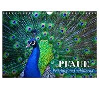 Calendrier 2027 · US Version · Les paons. Magnifiques et éblouissants | Un phénomène et une merveille de couleurs éclatantes dans un plumage somptueux · DIN A4 paysage · CALVENDO Calendrier mural