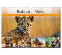 Calendrier 2027 · US Version · Les petits animaux d'Afrique | Découvrez leur monde magique · C'est ici que commence l'aventure de la vie · DIN A3 paysage · CALVENDO Calendrier mural