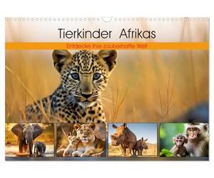 Calendrier 2027 · US Version · Les petits animaux d'Afrique | Découvrez leur monde magique · C'est ici que commence l'aventure de la vie · DIN A3 paysage · CALVENDO Calendrier mural