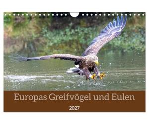 Calendrier 2027 · US Version · Les rapaces et les chouettes d'Europe | Une année riche en acrobates aériens impressionnants et en chouettes nocturnes… · DIN A4 paysage · CALVENDO Calendrier mural