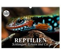 Calendrier 2027 · US Version · Les reptiles. Serpents, lézards et autres | Adaptations préhistoriques et créatures méritant d'être protégées · DIN A3 paysage · CALVENDO Calendrier mural