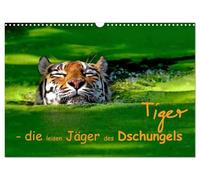 Calendrier 2027 · US Version · Les tigres : les chasseurs silencieux de la | jungle · Portrait du tigre · DIN A3 paysage · CALVENDO Calendrier mural