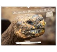 Calendrier 2027 · US Version · Les tortues géantes des îles Galápagos | Découvrez la beauté et la grâce impressionnantes de ces gentils géants qui ont… · DIN A3 paysage · CALVENDO Calendrier mural