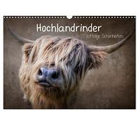 Calendrier 2027 · US Version · Les vaches des Highlands | de magnifiques bêtes à la toison hirsute · Les vaches qui posent comme des… · DIN A3 paysage · CALVENDO Calendrier mural